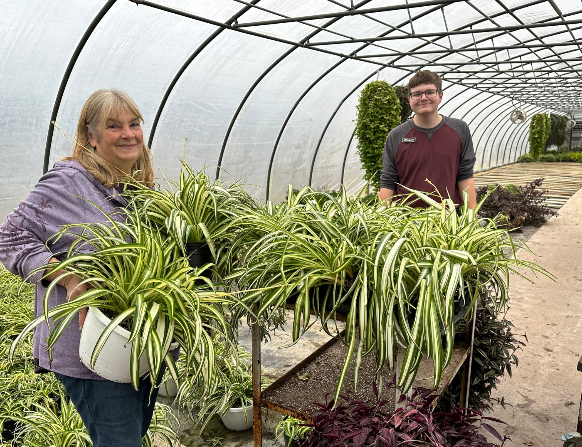 Greenhouse with employees