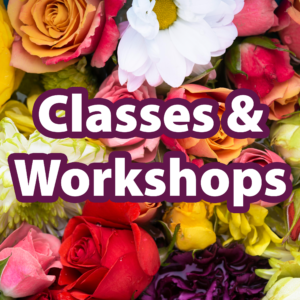 Classes & Workshops