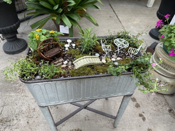 Kids' Fairy Garden Workshop with Ellen - Image 3