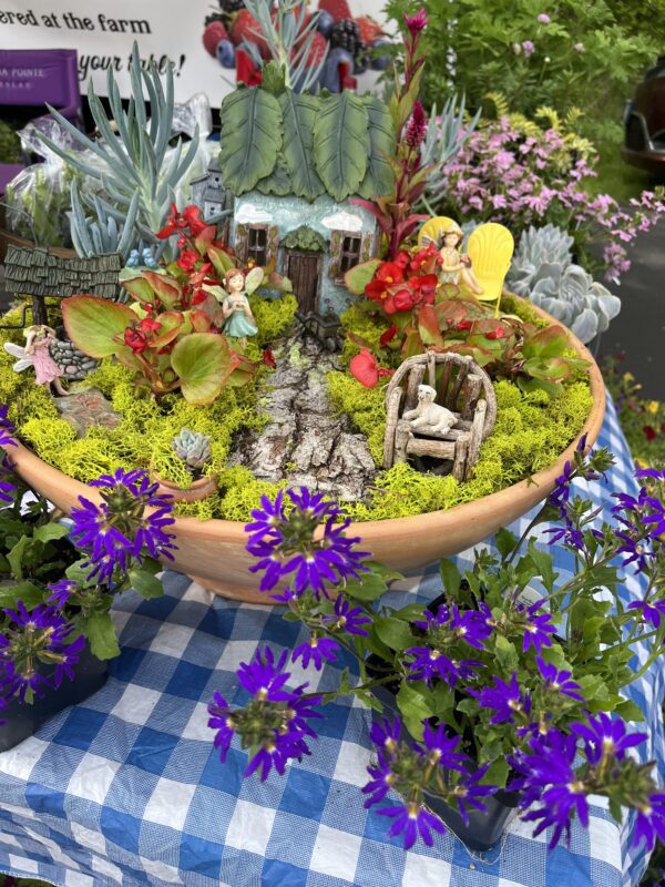 Kids' Fairy Garden Workshop with Ellen
