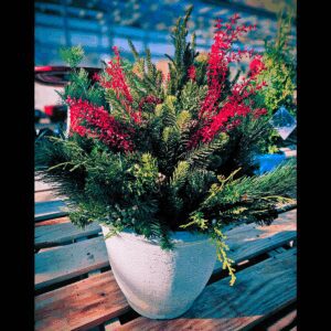 DYO Holiday Porch Pot, Saturday November 22