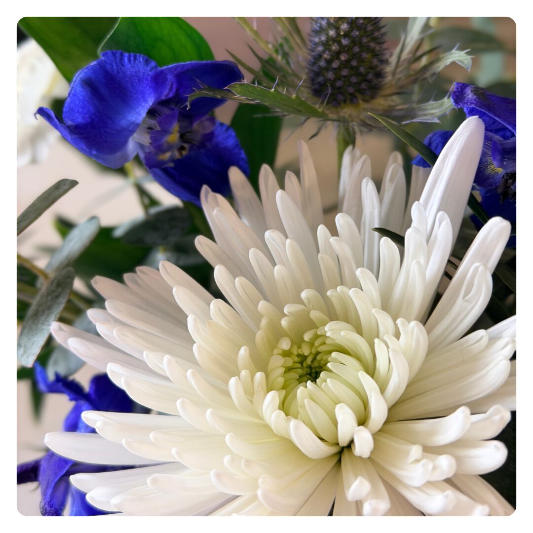 "Step in Time" Bravo Bouquet - Image 2